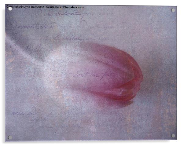  Tulip and Prose Acrylic by Lynn Bolt
