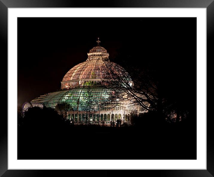 Sefton Park Palm House, Liverpool, England, comple Framed Mounted Print by ken biggs