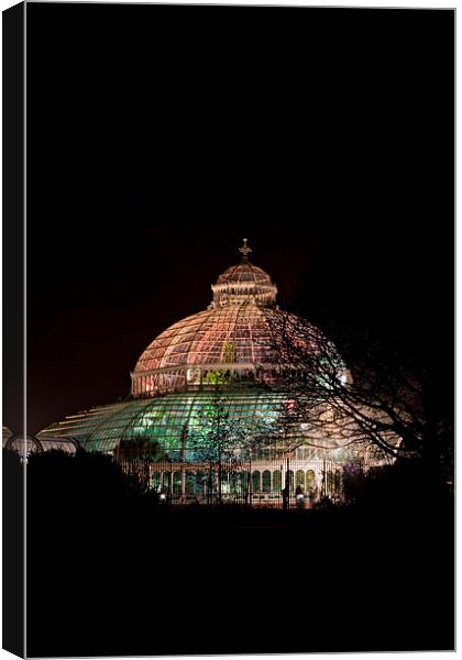 Sefton Park Palm House, Liverpool, England, comple Canvas Print by ken biggs
