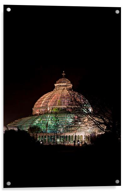 Sefton Park Palm House, Liverpool, England, comple Acrylic by ken biggs