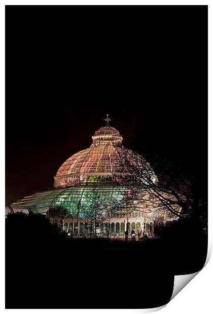 Sefton Park Palm House, Liverpool, England, comple Print by ken biggs