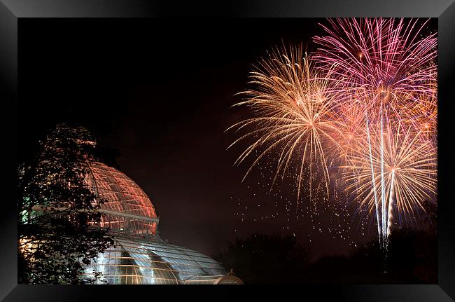 Fireworks light up Sefton Park Palm House, Liverpo Framed Print by ken biggs