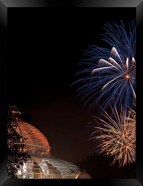 Fireworks light up Sefton Park Palm House, Liverpo Framed Print by ken biggs