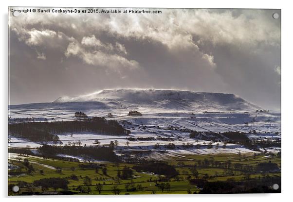  Penn Hill, Wensleydale Acrylic by Sandi-Cockayne ADPS