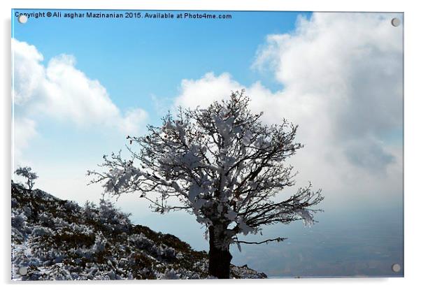 Iced tree on mountain, Acrylic by Ali asghar Mazinanian