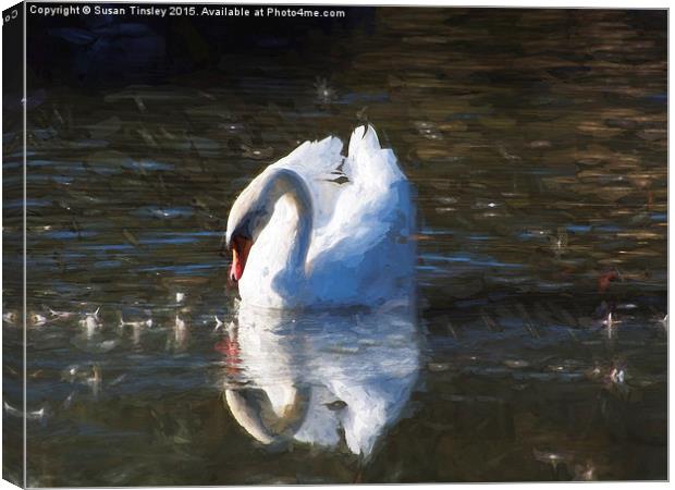 Serene swan Canvas Print by Susan Tinsley