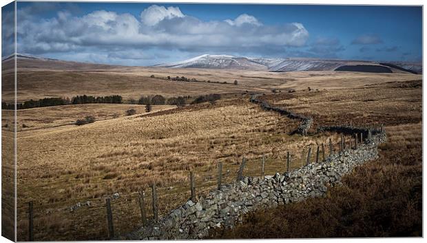  Brecon dry stone wall and fields Canvas Print by Leighton Collins