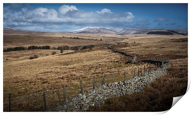  Brecon dry stone wall and fields Print by Leighton Collins