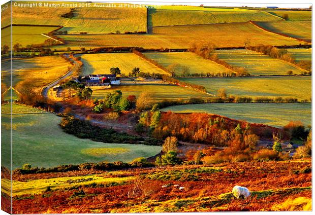  Evening Light at Hedleyhope Fell County Durham Canvas Print by Martyn Arnold