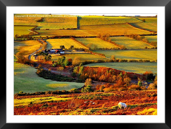  Evening Light at Hedleyhope Fell County Durham Framed Mounted Print by Martyn Arnold