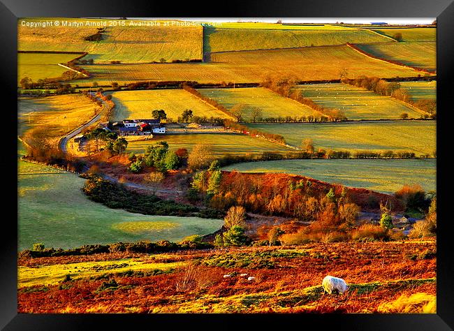  Evening Light at Hedleyhope Fell County Durham Framed Print by Martyn Arnold