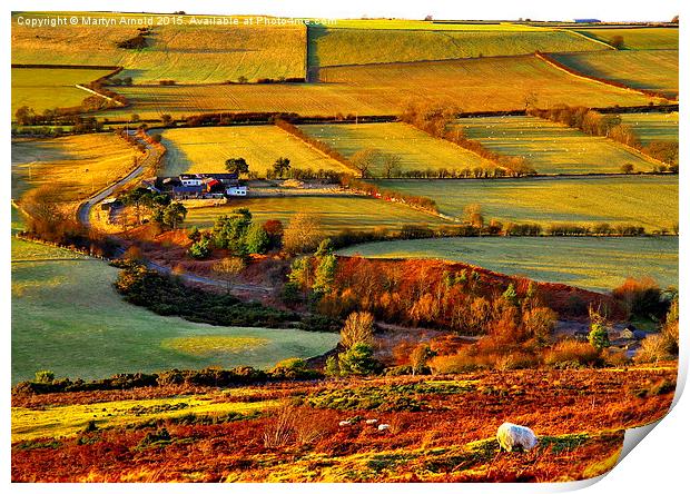  Evening Light at Hedleyhope Fell County Durham Print by Martyn Arnold