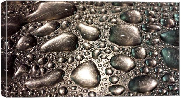  raindrops Canvas Print by keith sutton