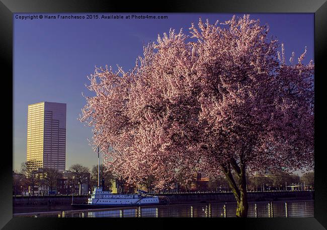  Springtime in Portland Framed Print by Hans Franchesco