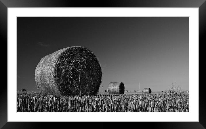 Straw Bales Framed Mounted Print by Mark Robson