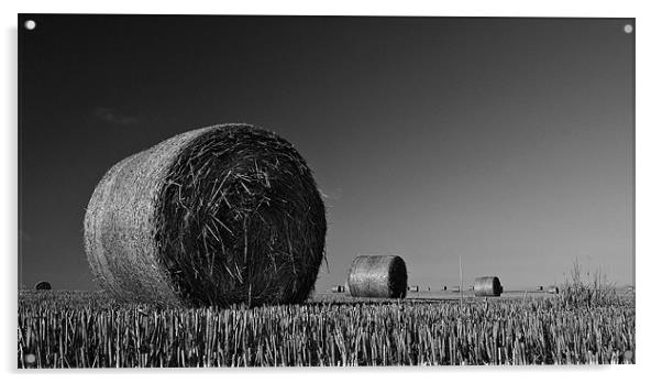 Straw Bales Acrylic by Mark Robson
