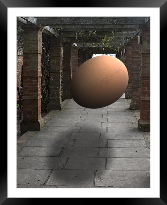 Floating Egg Framed Mounted Print by Michael Carn