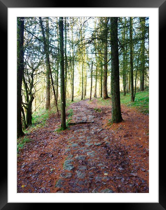  Woodland path. Ystradfellte. Framed Mounted Print by Jon Barton