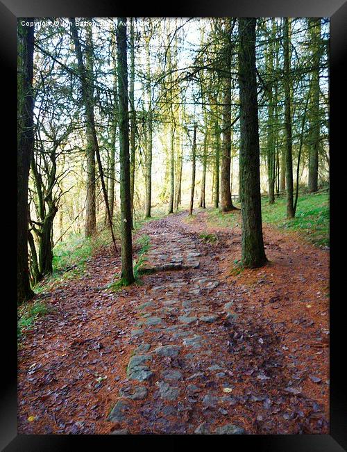  Woodland path. Ystradfellte. Framed Print by Jon Barton