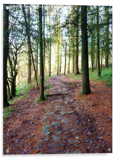  Woodland path. Ystradfellte. Acrylic by Jon Barton