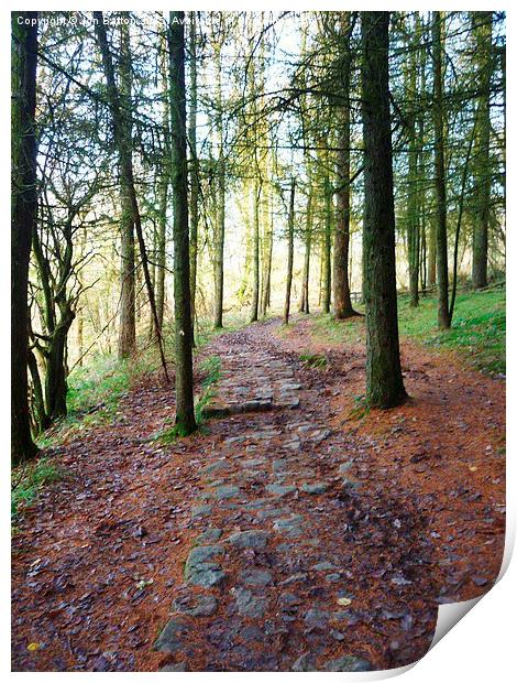  Woodland path. Ystradfellte. Print by Jon Barton
