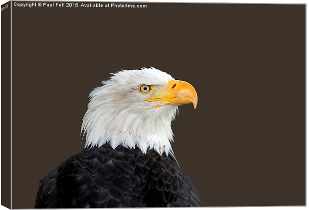 Bald Eagle Canvas Print by Paul Fell