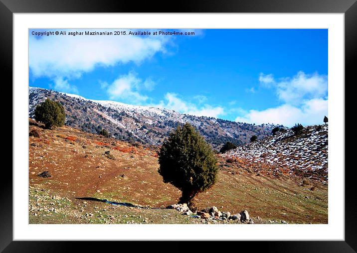 Another view of mountain jungle, Framed Mounted Print by Ali asghar Mazinanian