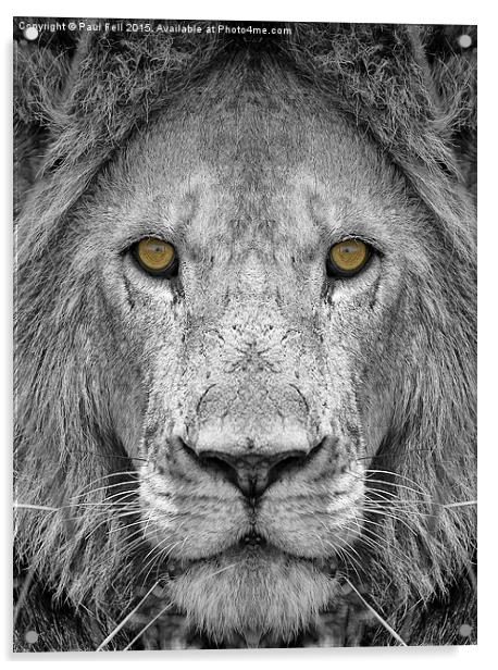 Lion Acrylic by Paul Fell