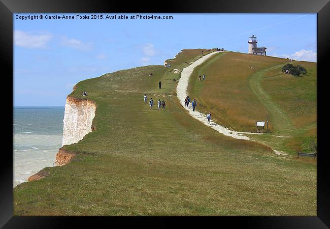  Seven Sisters From The Top Of The Cliffs Framed Print by Carole-Anne Fooks