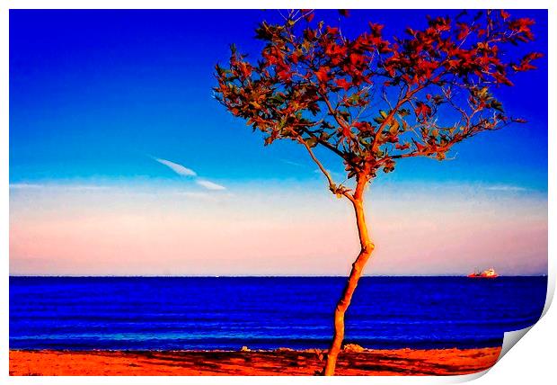 Lone tree overlooking the sea Print by ken biggs