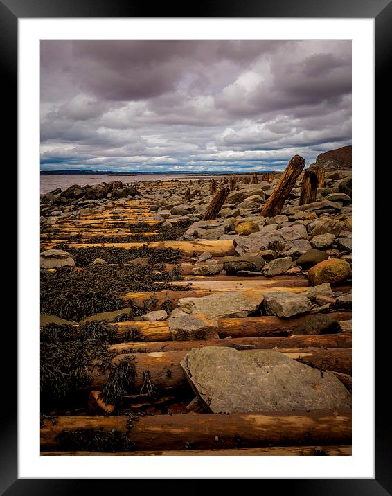 Fossil Cliffs, Joggins, Nova Scotia, Canada Framed Mounted Print by Mark Llewellyn