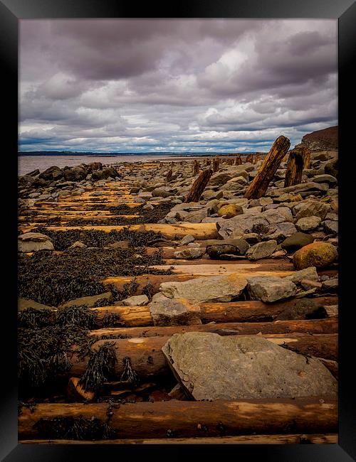 Fossil Cliffs, Joggins, Nova Scotia, Canada Framed Print by Mark Llewellyn