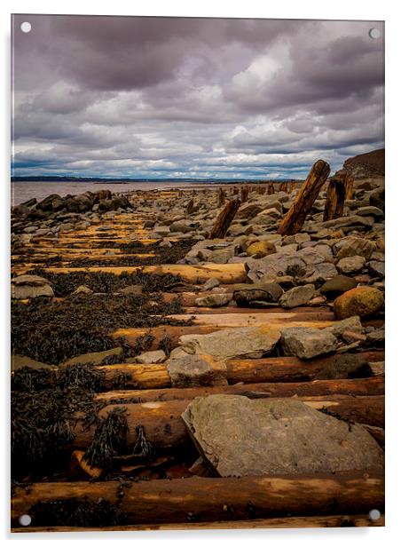 Fossil Cliffs, Joggins, Nova Scotia, Canada Acrylic by Mark Llewellyn