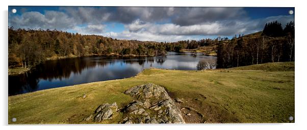 Tarn Hows, Cumbria Panoramic Acrylic by Dave Hudspeth Landscape Photography