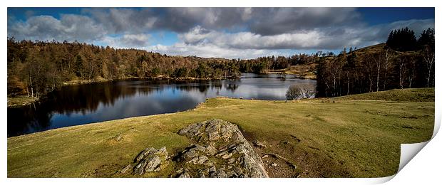 Tarn Hows, Cumbria Panoramic Print by Dave Hudspeth Landscape Photography