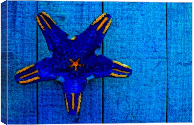 starfish shape on blue wooden boards Canvas Print by ken biggs