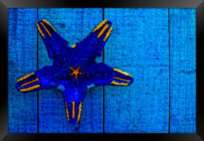 starfish shape on blue wooden boards Framed Print by ken biggs