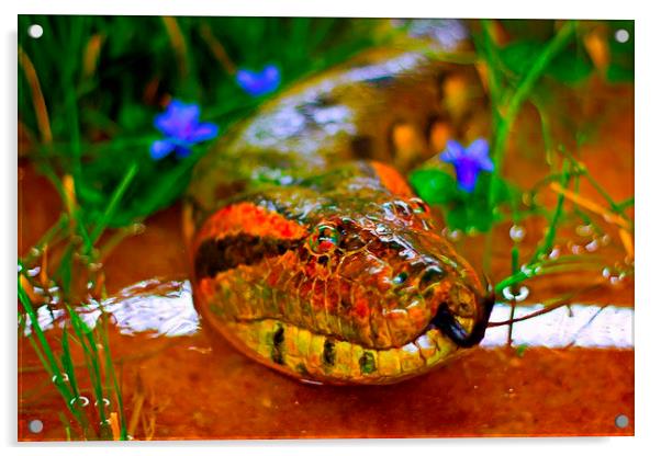 A digitally constructed painting of green anaconda Acrylic by ken biggs