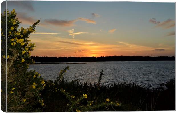 Lovely Dorset Lake Sunset Canvas Print by pristine_ images