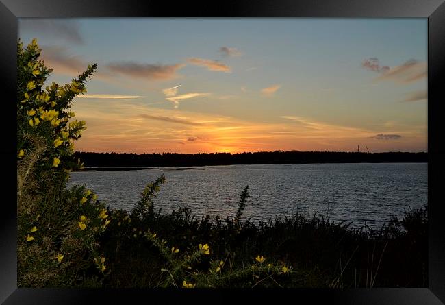 Lovely Dorset Lake Sunset Framed Print by pristine_ images