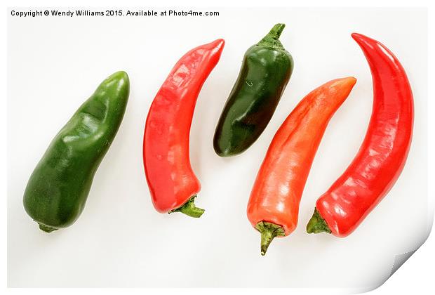Red Hot Chilli Peppers Print by Wendy Williams CPAGB