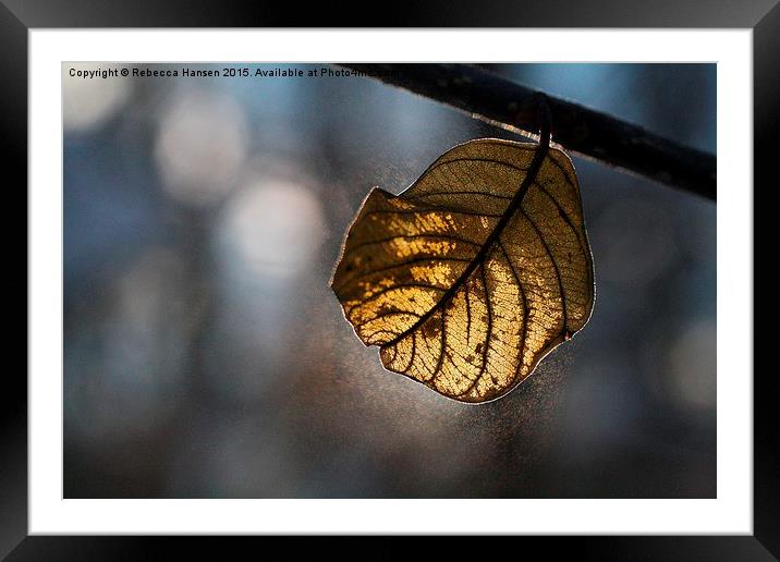  Cold and Hot Framed Mounted Print by Rebecca Hansen