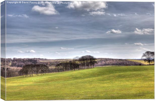  Temple Newsam (hdr) Canvas Print by David Pacey