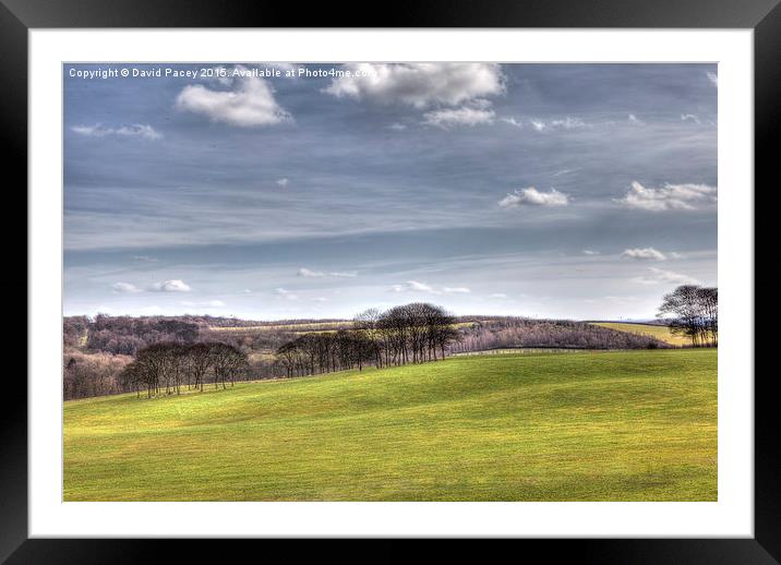  Temple Newsam (hdr) Framed Mounted Print by David Pacey