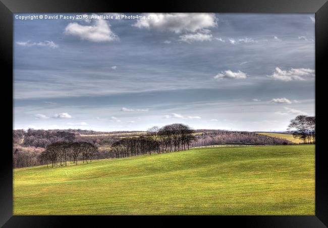  Temple Newsam (hdr) Framed Print by David Pacey