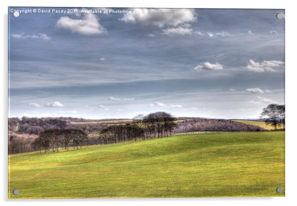  Temple Newsam (hdr) Acrylic by David Pacey