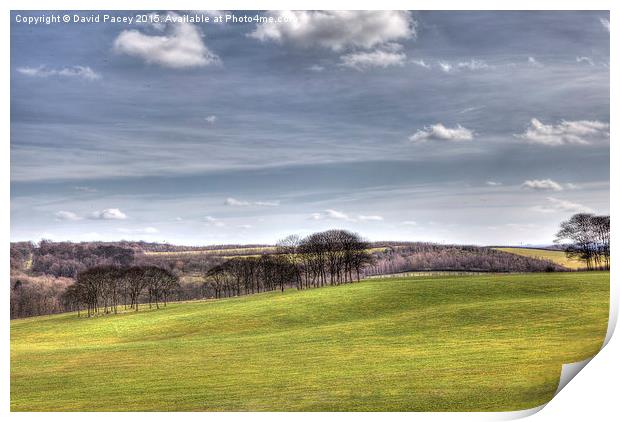  Temple Newsam (hdr) Print by David Pacey