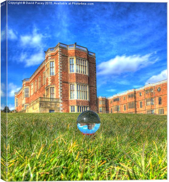  Temple Newsam House Canvas Print by David Pacey