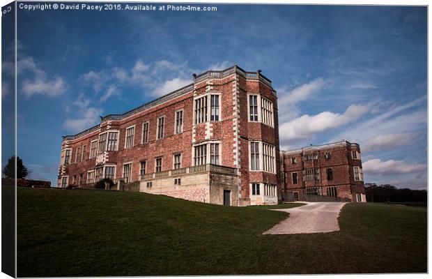  Temple Newsam House Canvas Print by David Pacey
