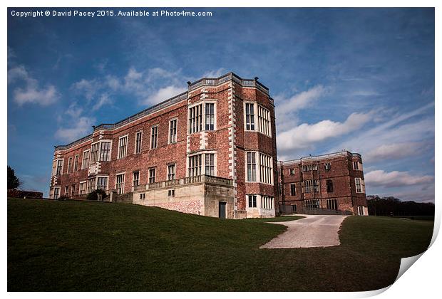  Temple Newsam House Print by David Pacey
